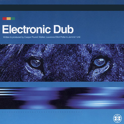 Electronic Dub