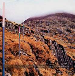 Section 25