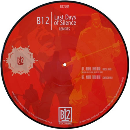 Last Days Of Silence B12 Zip