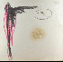 ...mehr Infos zu Axolotls_The_Die_Rasenden_St%FCmper