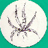...mehr Infos zu Weed_People_aka_Roy_Davis
