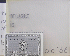 ...mehr Infos zu Pizzicato_Five