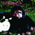 ...mehr Infos zu Dinosaur_Jr