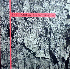 ...mehr Infos zu Architex_The
