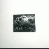 ...mehr Infos zu Small_Fish_With_Spine