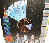 ...mehr Infos zu Bomb_The_Beach