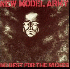 ...mehr Infos zu New_Model_Army