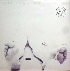 ...mehr Infos zu Big_Balls_amp_The_Great_White_Idiot