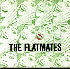...mehr Infos zu Flatmates