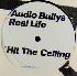 ...mehr Infos zu Audio_Bullys