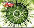 ...mehr Infos zu Neutron_9000_vs_The_Mysteries_Of_Science