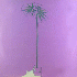 ...mehr Infos zu Emerson_Lake_amp_Palmer_aka_The_Palms