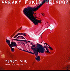 ...mehr Infos zu Freaky_Fukin_Weirdoz