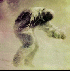 ...mehr Infos zu Whiteouts