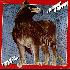 ...mehr Infos zu Griffin_Johnny