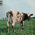 ...mehr Infos zu Pink_Floyd