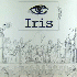 ...mehr Infos zu Iris