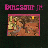 ...mehr Infos zu Dinosaur_Jr