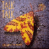...mehr Infos zu Talk_Talk