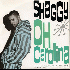 ...mehr Infos zu Shaggy