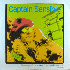 ...mehr Infos zu Captain_Sensible