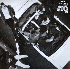 ...mehr Infos zu JTQ_feat_Noel_McKoy