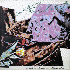 ...mehr Infos zu Bent_Backed_Tulips_The