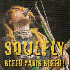 ...mehr Infos zu Soulfly