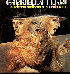 ...mehr Infos zu Ferri_Gabriella_Con_Il_Pandemonium