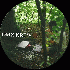 ...mehr Infos zu DMX_Krew