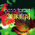 ...mehr Infos zu Deep_Forest