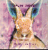 ...mehr Infos zu Raver_Rabbit