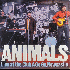 ...mehr Infos zu Animals_The