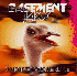...mehr Infos zu Basement_Jaxx