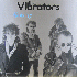 ...mehr Infos zu Vibrators_The