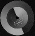 ...mehr Infos zu Noha_DJ_Honesty_Unison