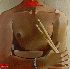 ...mehr Infos zu Tony_Williams_Lifetime_The
