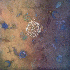 ...mehr Infos zu Tail_Gators_The