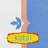 ...mehr Infos zu Kotai