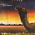 ...mehr Infos zu Camel