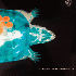 ...mehr Infos zu Stargazer_s_Assistant_The