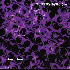 ...mehr Infos zu Floppy_Sounds