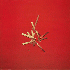 ...mehr Infos zu Roedelius_Hans-Joachim