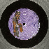 ...mehr Infos zu Phil_Asher_Presents_Focus