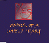 ...mehr Infos zu Yes_feat_808_State